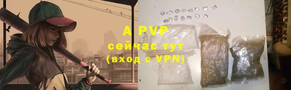 mdpv Белокуриха