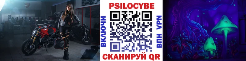 Галлюциногенные грибы Psilocybe  Шимановск 
